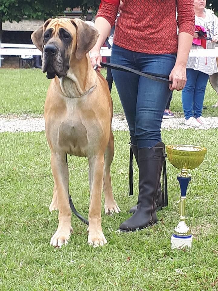 DE VALAVERGNY - Superbes résultats à la Régionale de Sourdun !