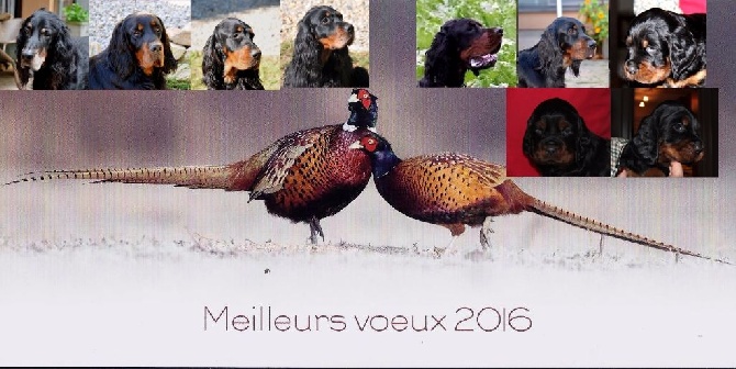 of Lady Woodcock - Meilleurs voeux pour 2016