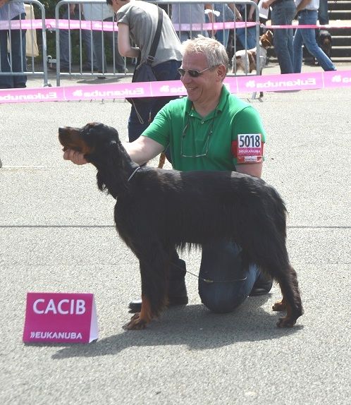 of Lady Woodcock - Championnat de France 2014