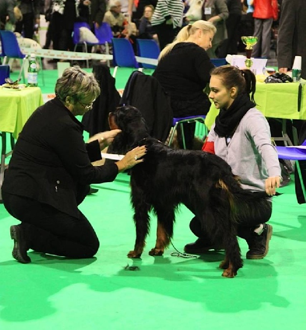 of Lady Woodcock - Expo de Douai