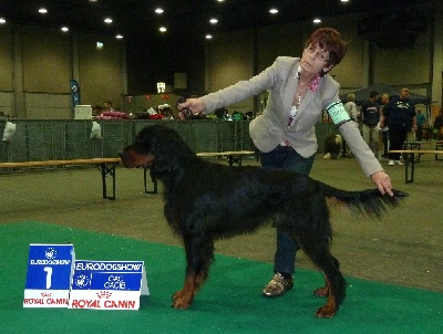 of Lady Woodcock - 50ème Eurodogshow Courtrai