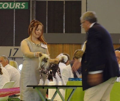 des Gardiens des Elfes - worldogshow 2011