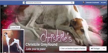 christcile's - Une page Facebook dédiée aux Christcile's