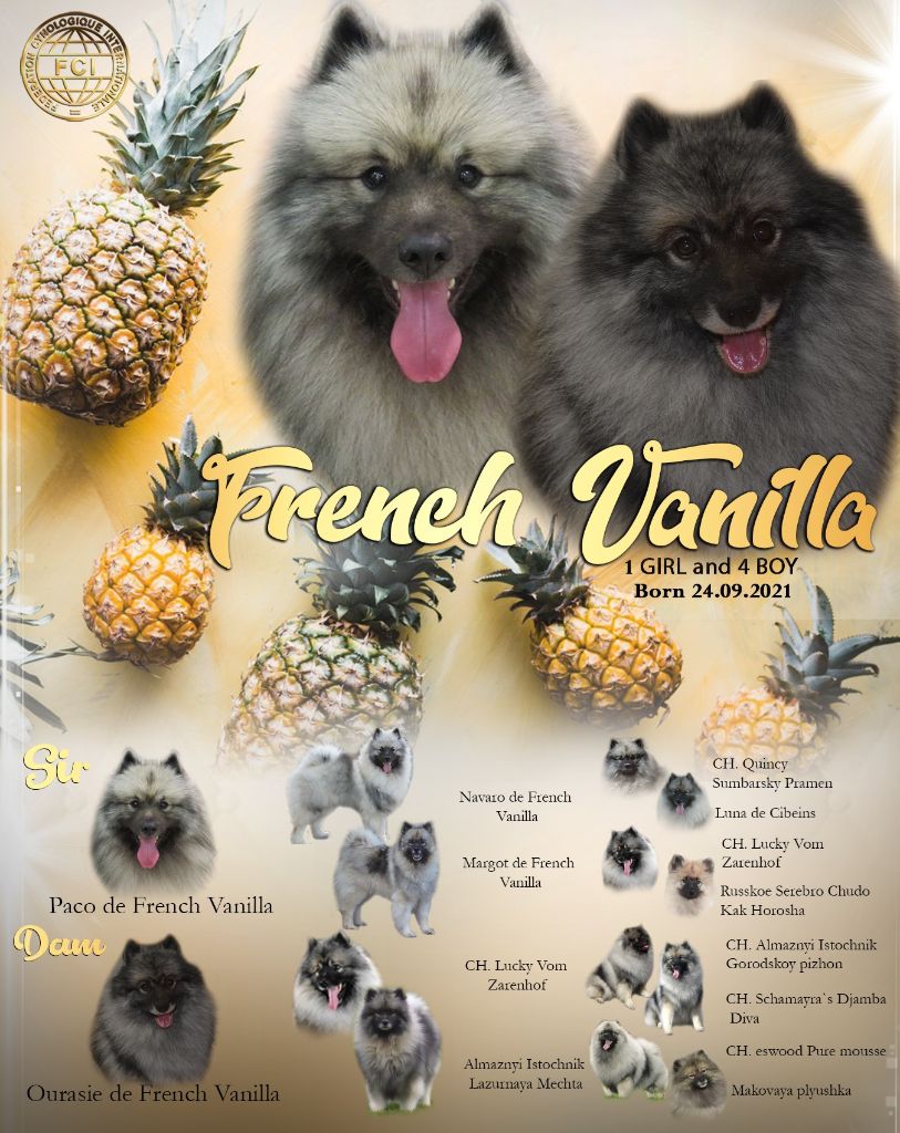 Ourasie de French Vanilla et Paco de French Vanilla