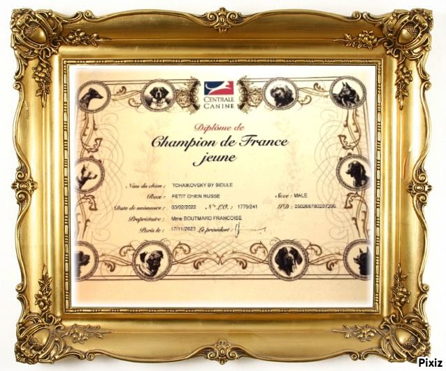 au Royaume D'ultra - DIPLOME CH