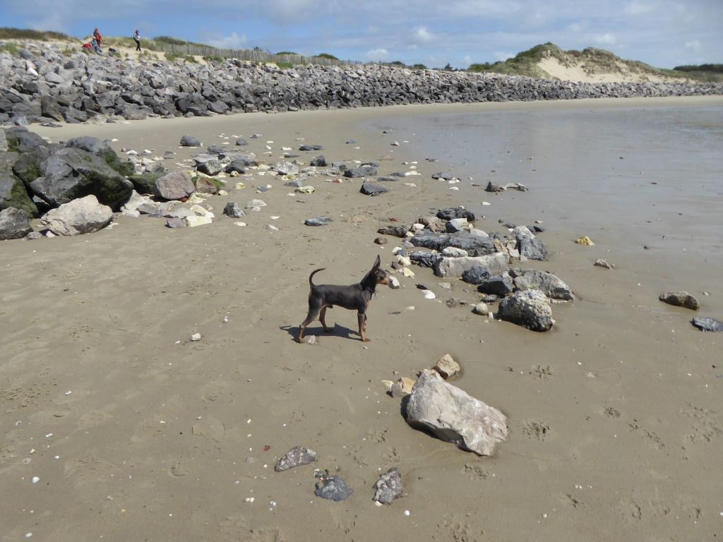 au Royaume D'ultra - Mon  garçon  a la plage 