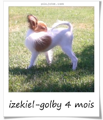 au Royaume D'ultra - des nouvelles d'Izekiel-golby