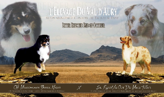 du Val d'Aury - Les derniers BB d'Easy !!!