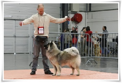 Lann  Loperhet - nantes 2012