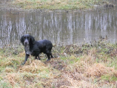 de la Petite Canardiére - fressin 26 et 27 novembre 2011