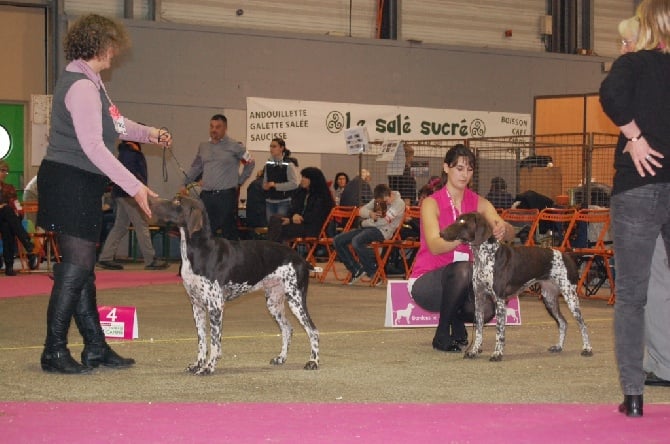 du Clos la Bataille - CaCib Nantes 2015