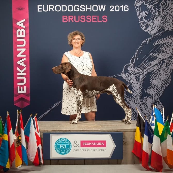 du Clos la Bataille - idem 4eme EXCELLENT A L'EURODOGSHOW BRUXELLES 2016