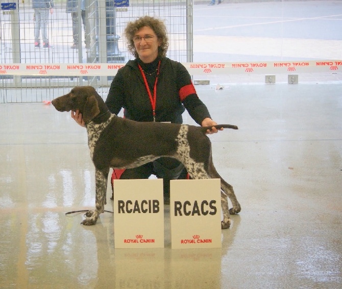 du Clos la Bataille - Heline Paris Dog show 10/01/15