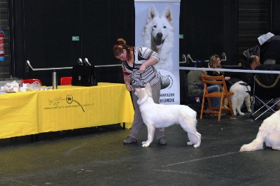 der Weibe Stern - Résultat Offenburg 2012