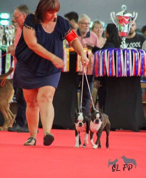 Sweeties Doggies - IDS DIJON 1° SEPTEMBRE 2019