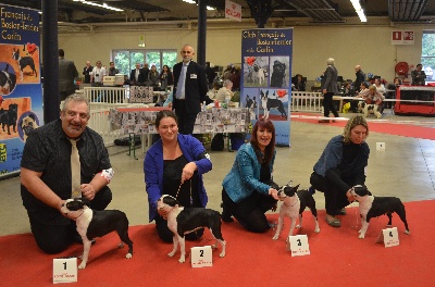 Sweeties Doggies - PARIS DOG SHOW 12 JANVIER 2014