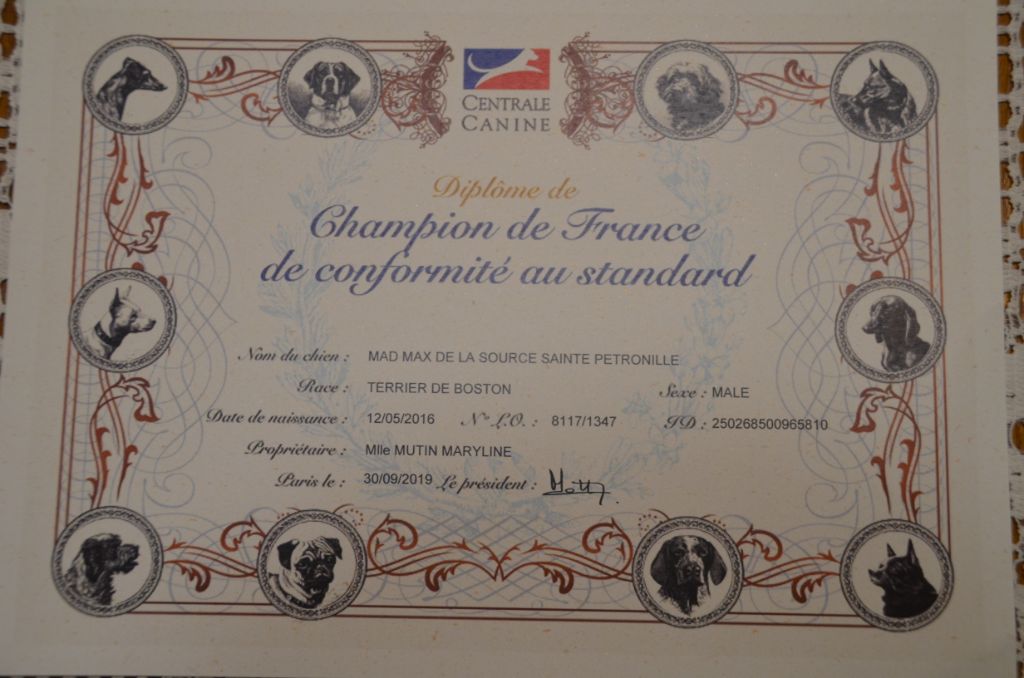 Sweeties Doggies - CHAMPION de FRANCE 2019