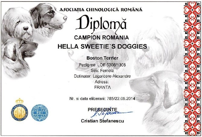 Sweeties Doggies - HELLA SWEETIES DOGGIES CHAMPIONE DE ROUMANIE 