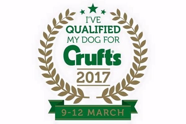 Sweeties Doggies - CRUFTS 2017 