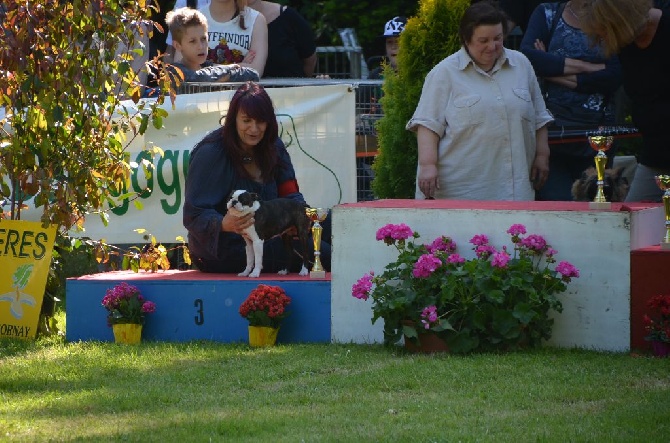 Sweeties Doggies - CACS St AMBREUIL 10 mai 2015