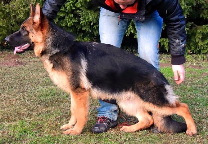 Roccapina - Nouvelle photo de Joga Bonito 