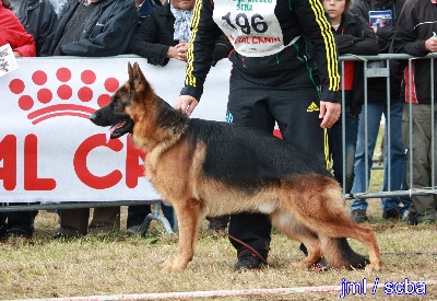 Roccapina - CHAMPIONNAT DE FRANCE 