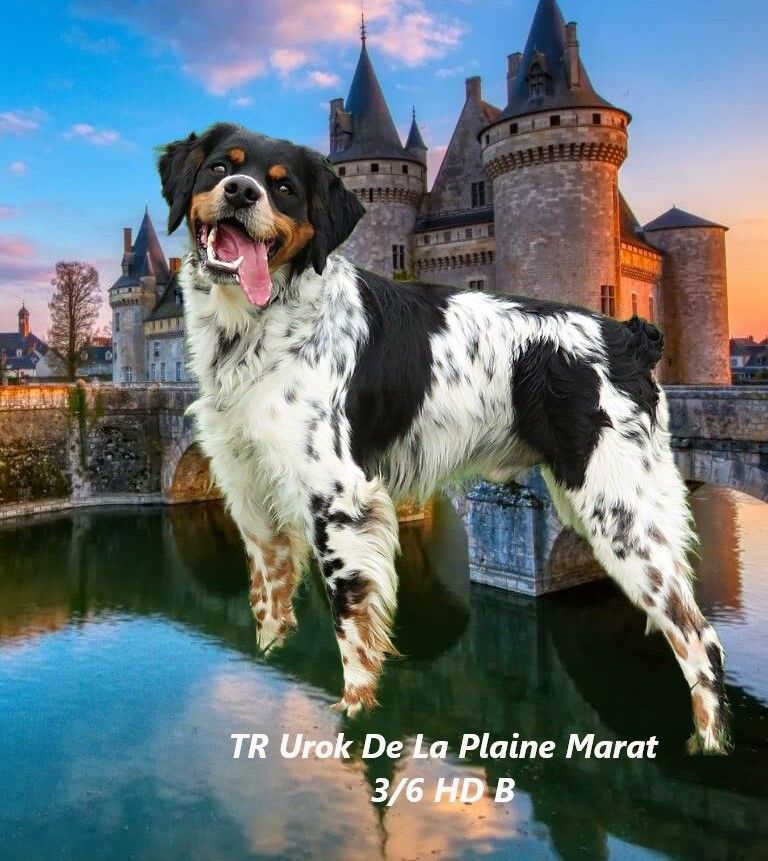 De la plaine marat - Tr.Urok de la Plaine Marat