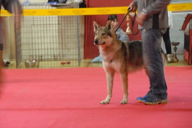 de la mollyniere de lo'scale - Bourges - Ho'Nook et Weel'Oh