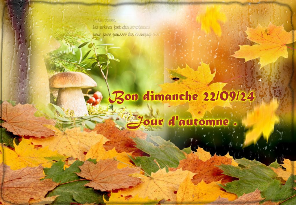 De L'abbaye Des Sources Bleues - AUTOMNE 2024