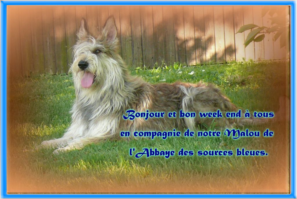 De L'abbaye Des Sources Bleues - 2 NOVEMBRE 2024