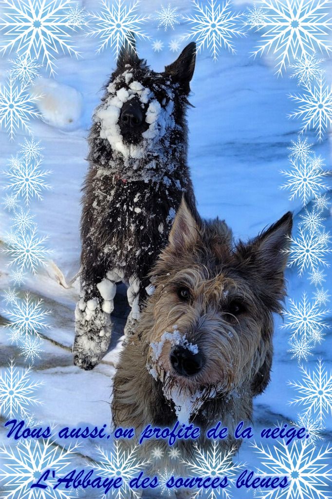 De L'abbaye Des Sources Bleues - ON AIME LA NEIGE!!!!!!!!!!!!!