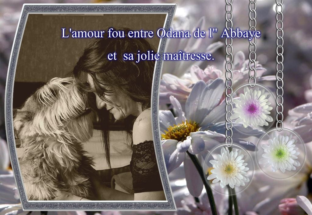 De L'abbaye Des Sources Bleues - L'AMOUR INCONDITIONNEL