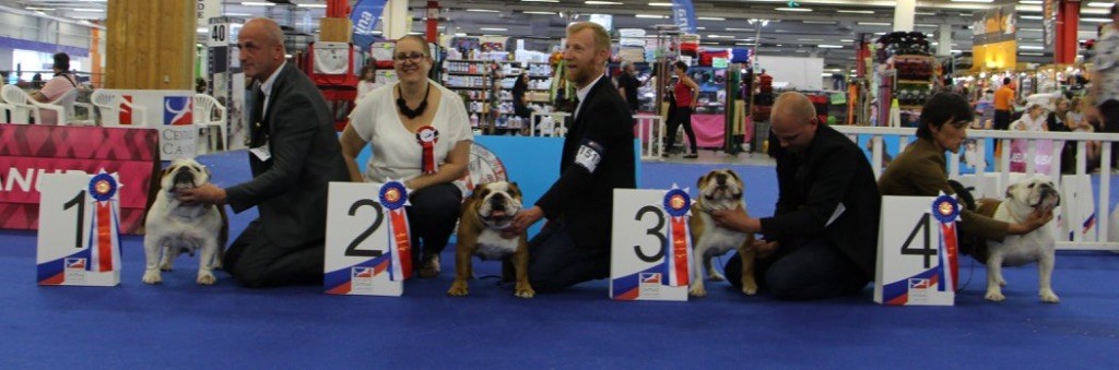 des Ulyskanes du Fleury - Championnat de France 2 Juin le Bourget