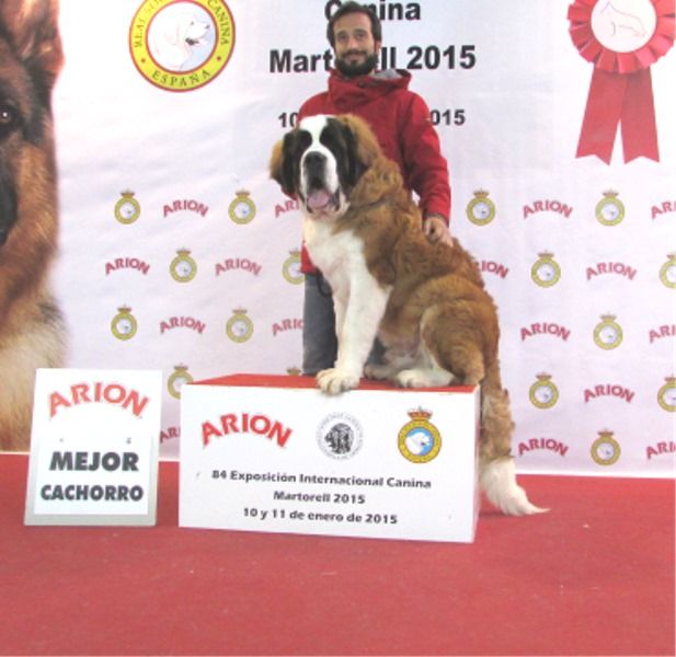 de Can Font - DOG SHOW INTERNATIONAL MARTORELL- BARCELONA