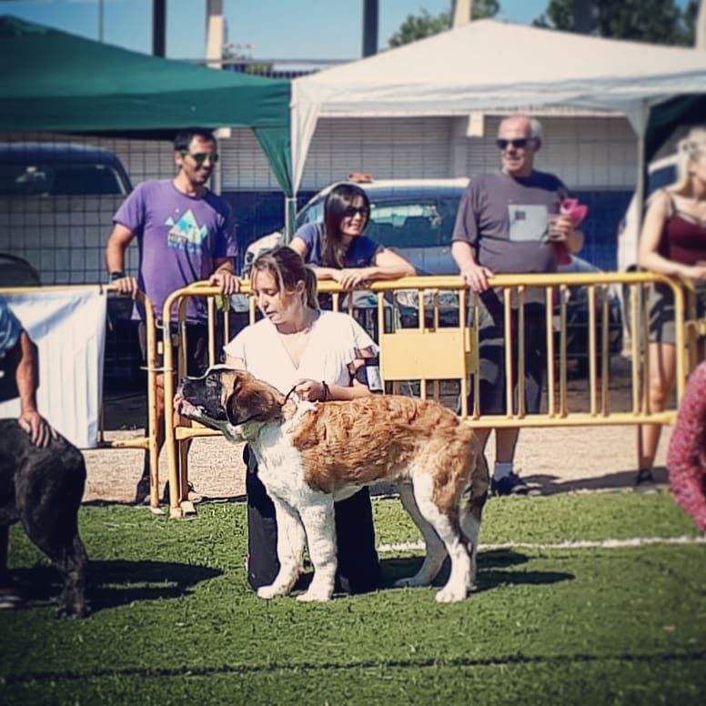 de Can Font - XII DOG SHOW REGIONAL TARREGA