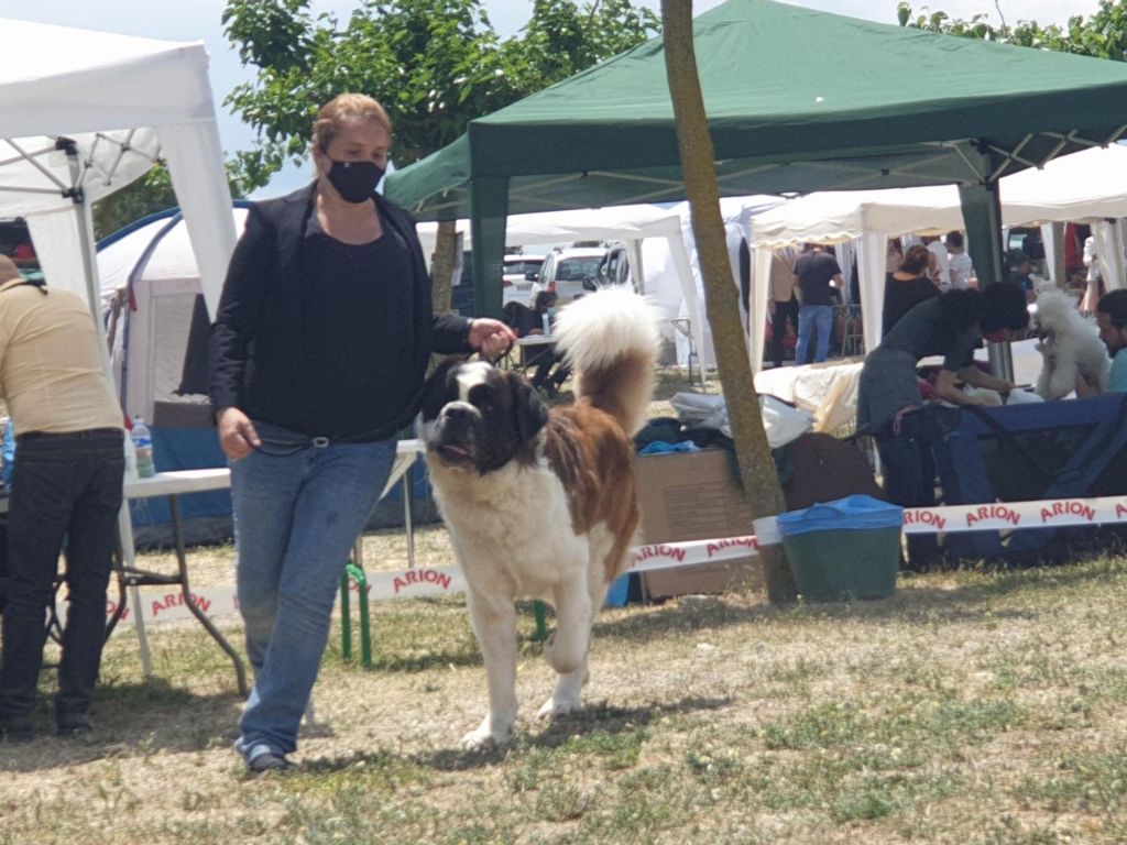 de Can Font - XXIV Dog Show International ODENA