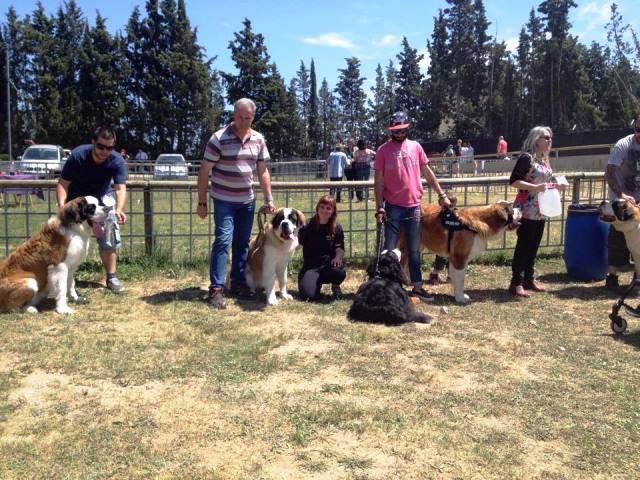 de Can Font - DOGSHOW IGUALADA 2015