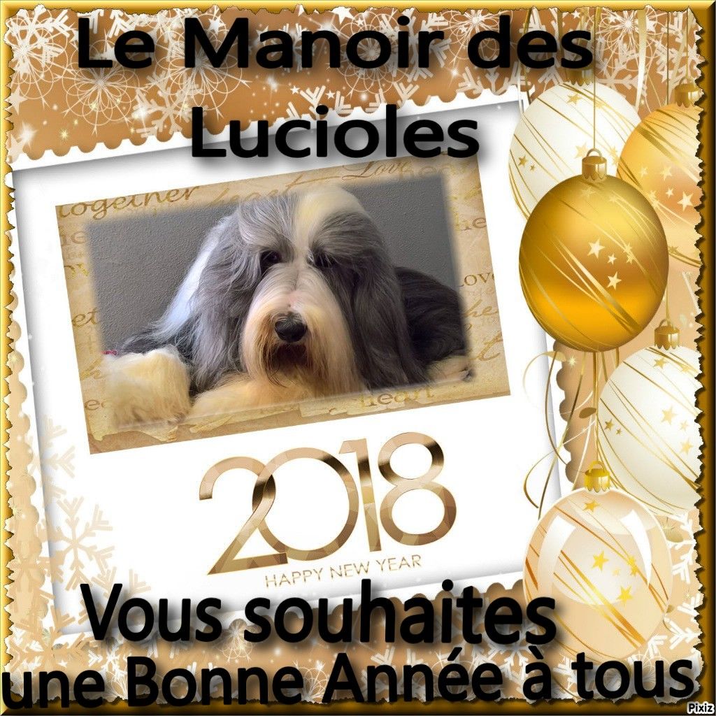 Du Manoir Des Lucioles - Bonne Année 2018