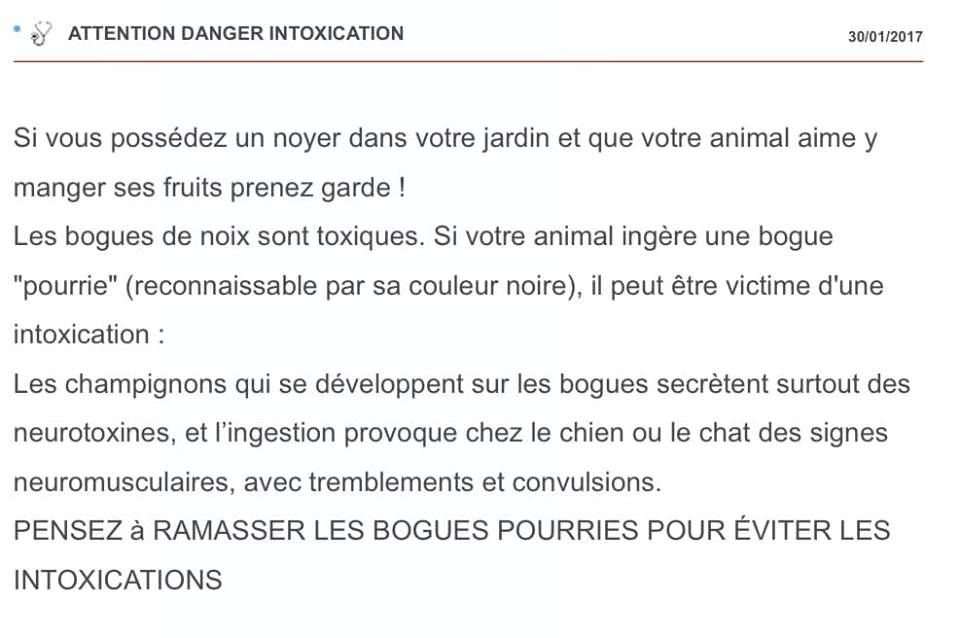 Des Nez Plats Du Ricolin - Danger avec certains arbres