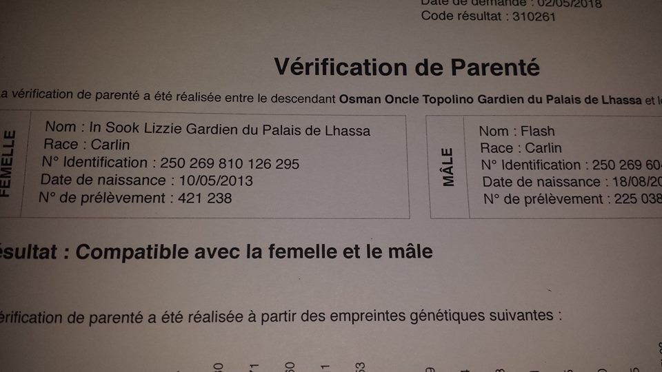 Des Nez Plats Du Ricolin - certificat de parenté