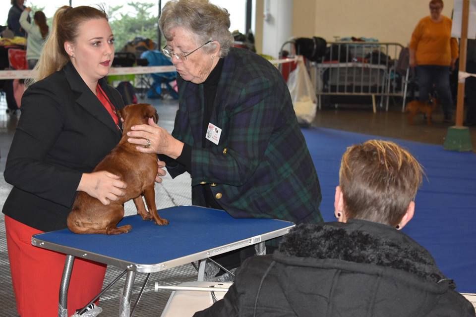 Des Nez Plats Du Ricolin - Metz : un week end en expo 