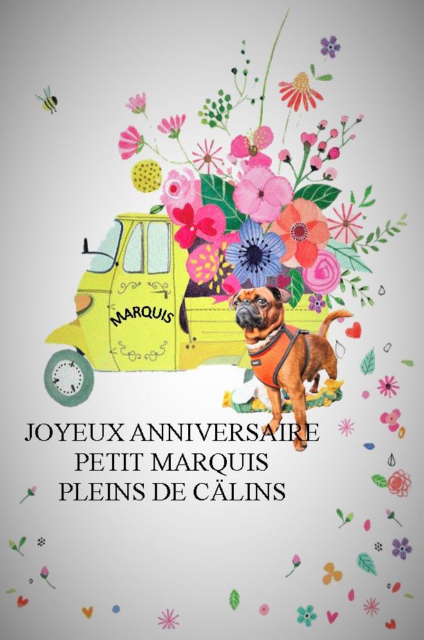 Des Nez Plats Du Ricolin - Bon anniversaire Marquis