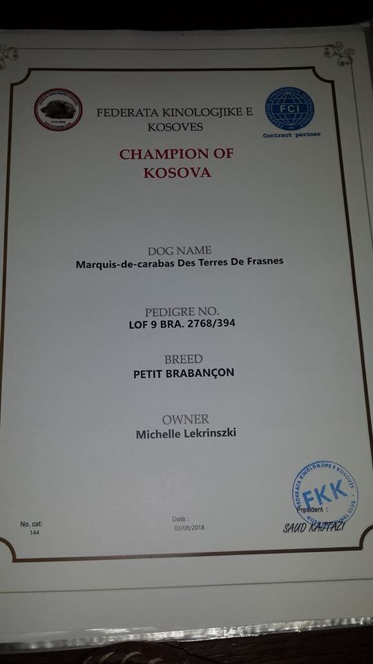 Des Nez Plats Du Ricolin - Titre de Champion 2 