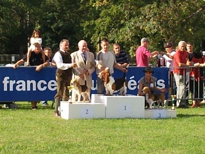 Du Pays Melusin - Doublé gagnant pour FIONA