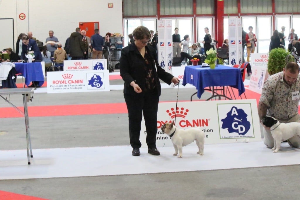 EXPOSITION INTERNATIONALE DE PERIGUEUX