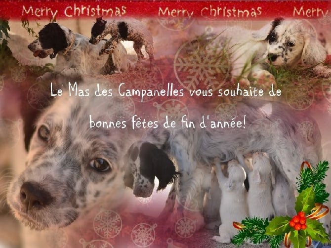 Du Mas Des Campanelles - Bonne Année!