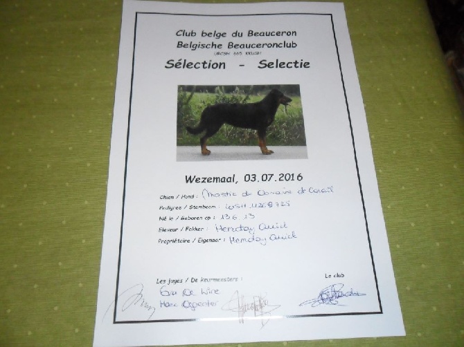 Du Domaine De Corail - Sélection du club belge du beauceron