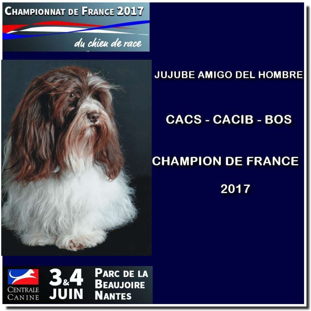 Amigo Del Hombre - CHAMPIONNAT DE FRANCE 2017