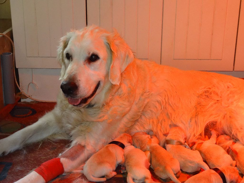 les bébés 2019 sont nés