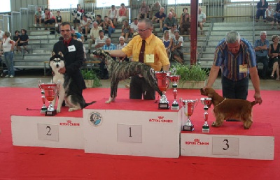 des neiges du dragon - 2 ieme BEST IN SHOW 